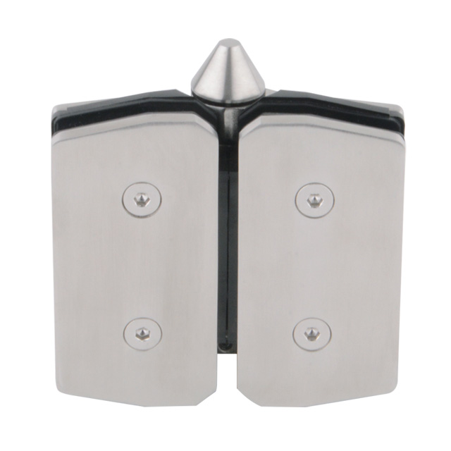 Glass To Glass Soft Close Hinge for Pool Fence